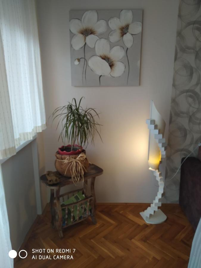 Apartman Ivan Vrdnik Esterno foto