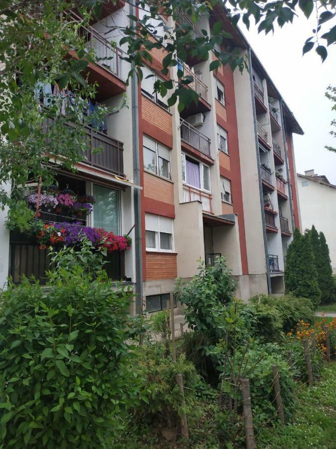 Apartman Ivan Vrdnik Esterno foto