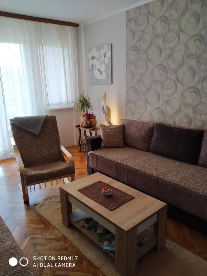Apartman Ivan Vrdnik Esterno foto